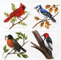 Bird stickers